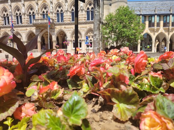 2021 Northampton in Bloom - The Guildhall