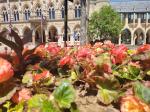 Image: 2021 Northampton in Bloom - The Guildhall