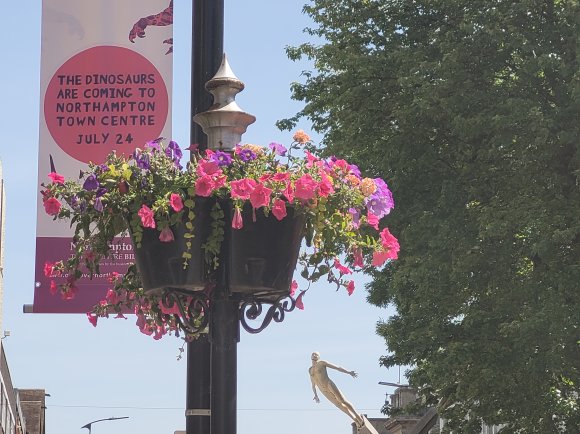 2021 Northampton in Bloom - Abington Street