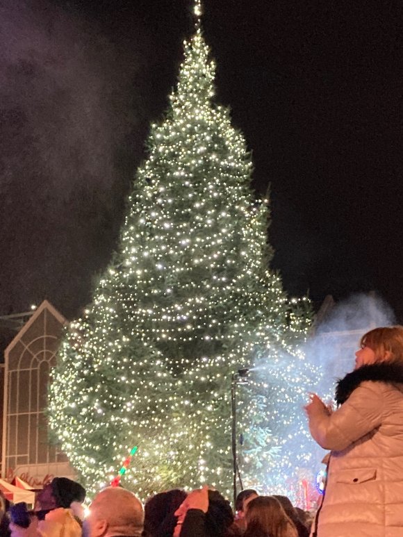 Christmas Tree on The Market Square