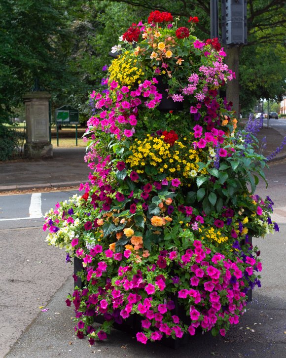 2022 Northampton in Bloom