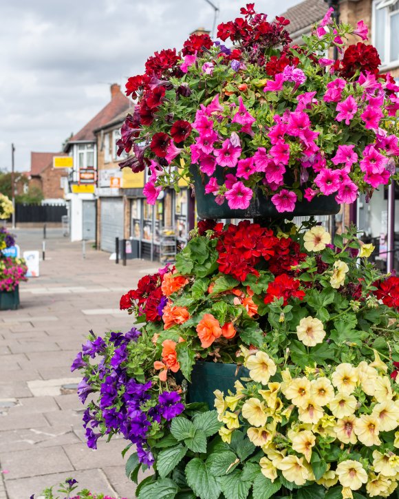 2022 Northampton in Bloom