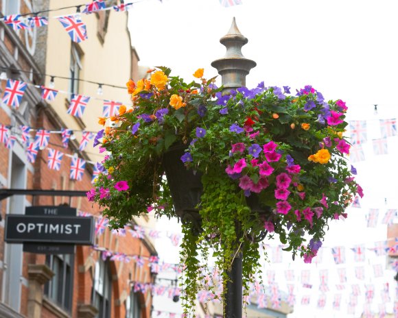 2022 Northampton in Bloom