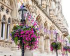 Image: 2022 Northampton in Bloom