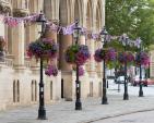 Image: 2022 Northampton in Bloom