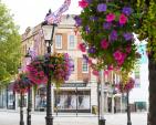 Image: 2022 Northampton in Bloom