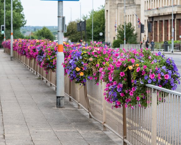 2022 Northampton in Bloom