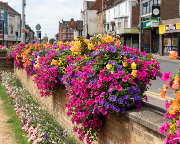 2022 Northampton in Bloom