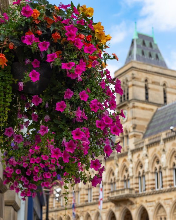 2022 Northampton in Bloom