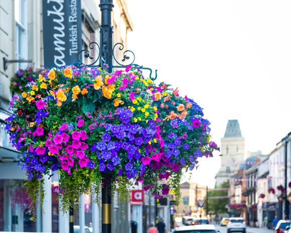 2022 Northampton in Bloom