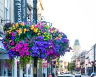 Image: 2022 Northampton in Bloom